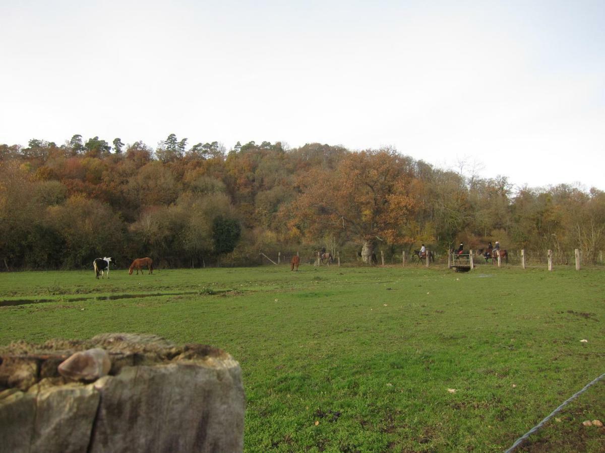 Le Murmure De La Falaise Beaumont-le-Roger Exterior foto